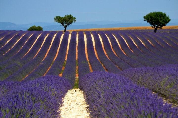 Forcal Forcalquier